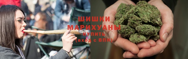 твердый Михайлов