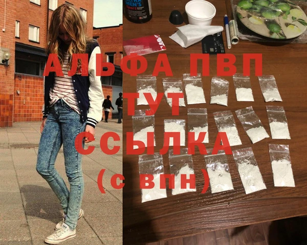 твердый Михайлов