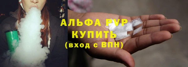 твердый Михайлов