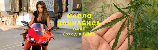 твердый Михайлов