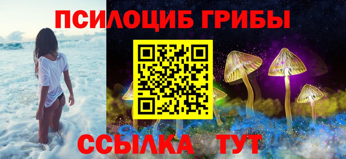 Электросталь  Псилоцибиновые грибы MAGIC MUSHROOMS  Вход с VPN 