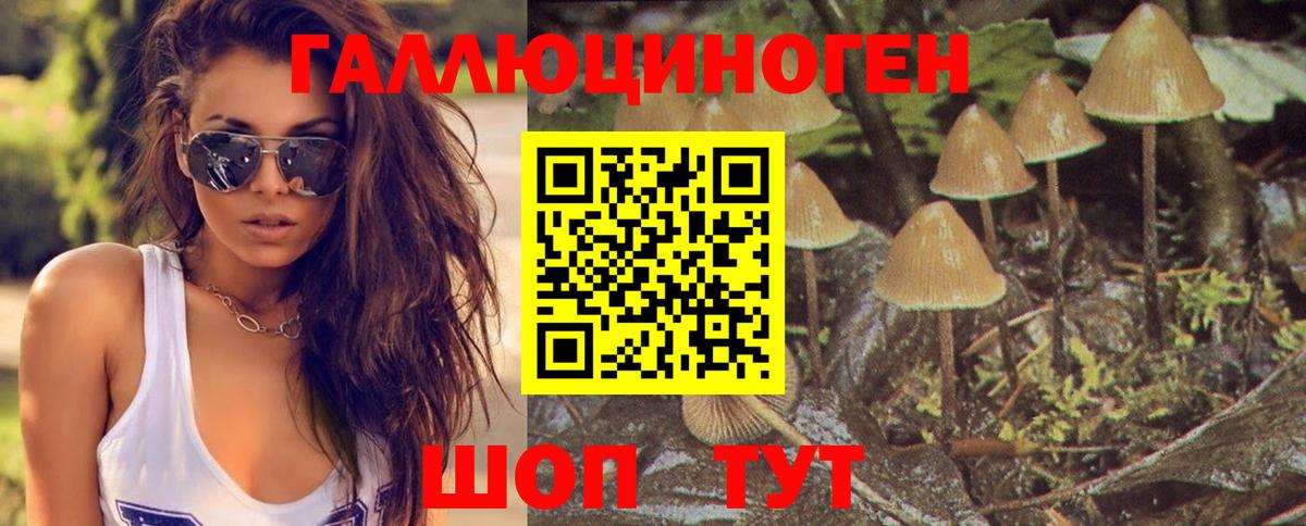 Галлюциногенные грибы Magic Shrooms Электросталь